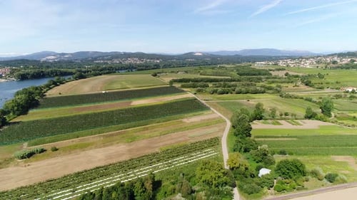 Scenic Farmland and River from Aerial Perspective