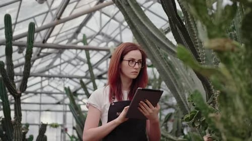 Young Adult Woman Uses Tablet in Tropical Greenhouse