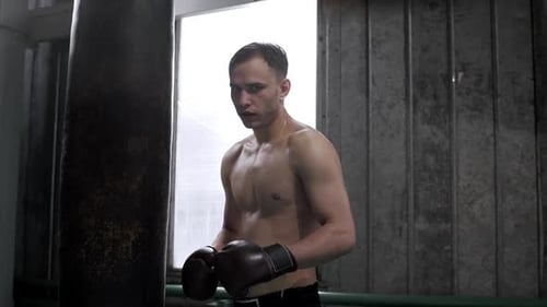 Sweaty Boxer Standing in Boxing Gym