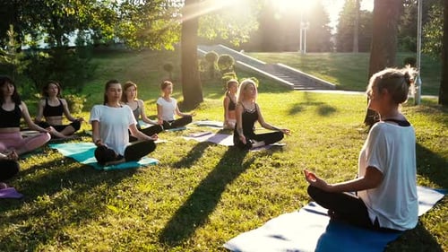 Group of Mixed Age Women Is Practicing Yoga and Meditating in Park While Sunrise