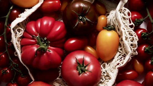 Tomatoes on the Table