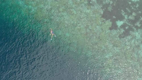Vue aérienne : femme faisant de la plongée en apnée sur un récif corallien, mer des Caraïbes tropicale
