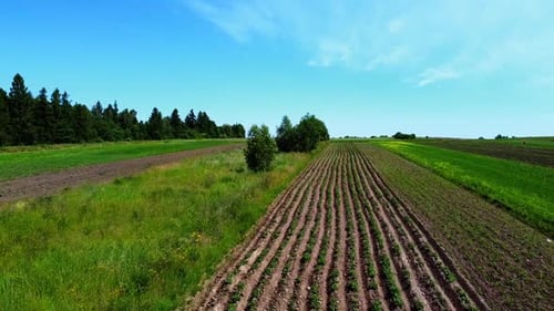 Aerial drone view of a flying over the rural agricultural landscape.
