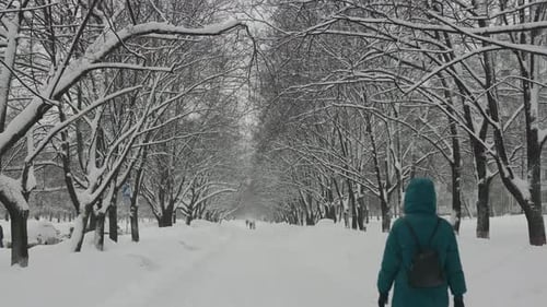 Heavy Snowfall in the City