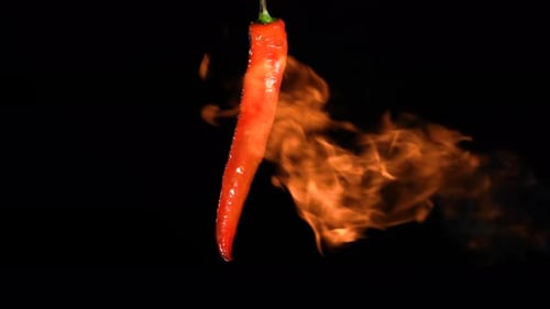 Red Hot Chili Peppers Roasting Over Fire on Black Studio Background