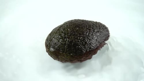 Close Up of Avocado in Water Puddle