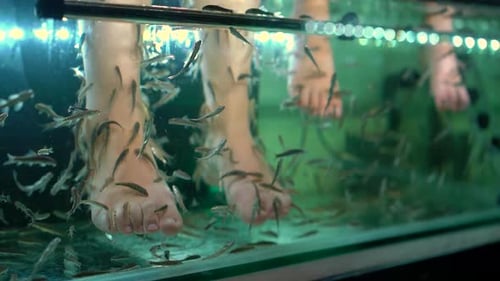 4x Mal Slowmotion Aufnahme einer jungen Frau und ihres kleinen Sohnes beim Besuch eines Fish Spa. Kosmetisches Verfahren