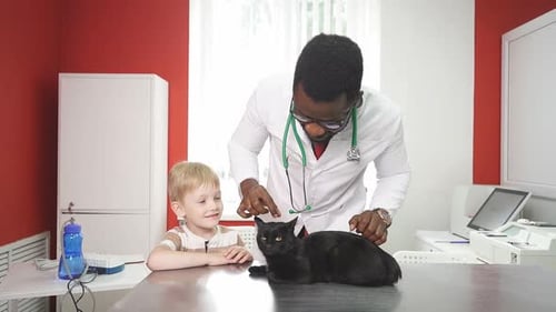 Veterinarian Examines Cat as Young Boy Smiles