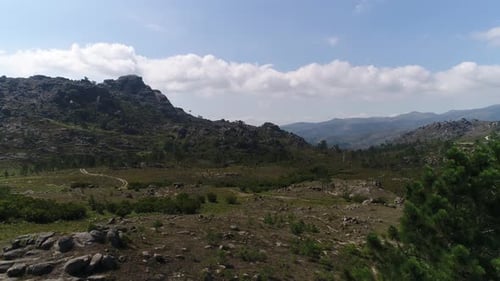 Nature Landscape