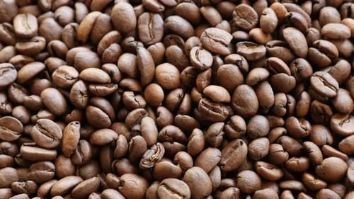 Close Up of Freshly Roasted Coffee Beans