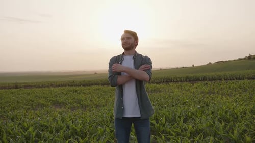 Man Standing in Cornfield at Sunset