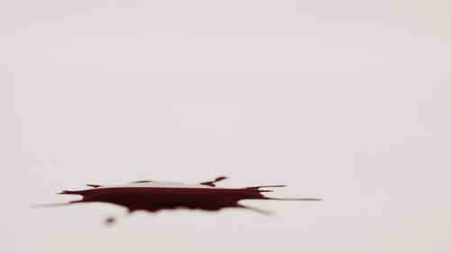 Isolated Red Drops of Blood on White Paper, Macro