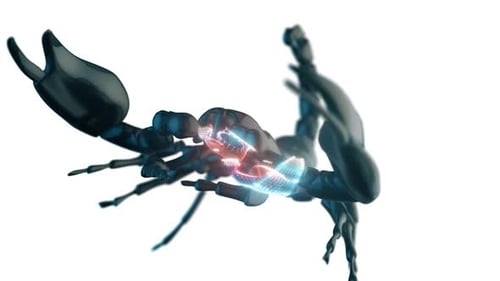 Skorpion im isolierten weißen Hintergrund mit Nahaufnahme Kameraanimation und Partikeln HD