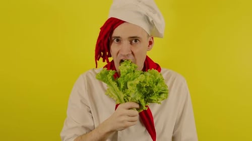 Young Adult Chef Eating Lettuce on Yellow Background