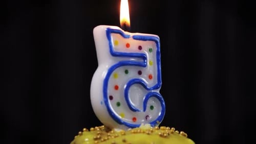 Number Five Candle Burning on Decorated Cupcake