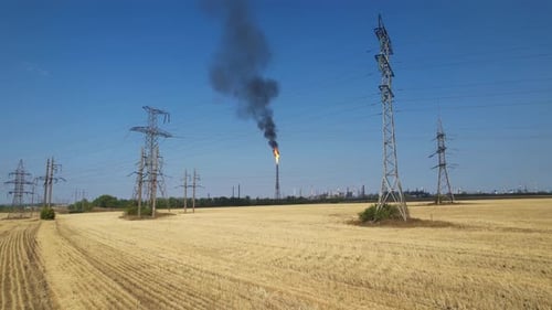 Burning Torch Of Fire