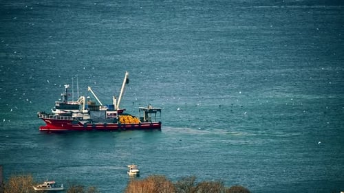 Barco de pesca