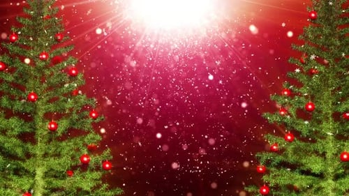Festive Christmas Trees Background with Falling Snow and Radiant Light