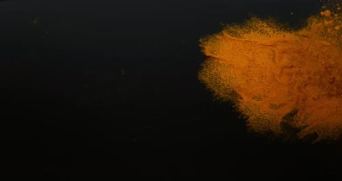Turmeric, curcuma longa, Powder falling against Black Background, Indian Spice, Slow Motion 4K