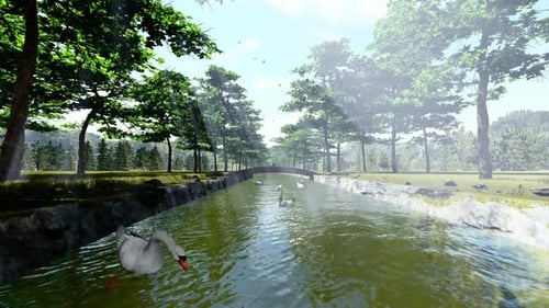 Stream Nature Landscape