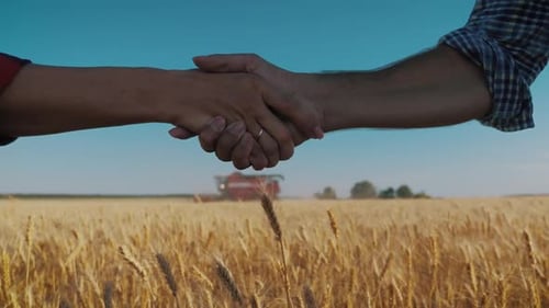 Farmers Handshake Over the Wheat Crop in Harvest Time. Partnership Concept.