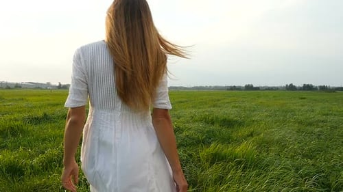 Beautiful Young Woman in White Dress Walks on the Green Field. Wind Blowing Hair