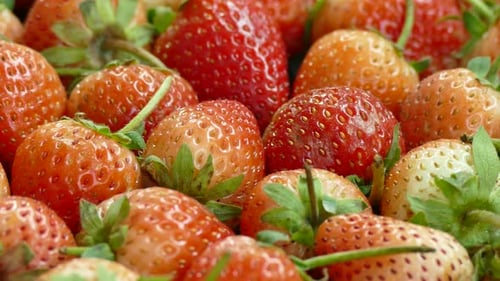 Red Strawberry fruit