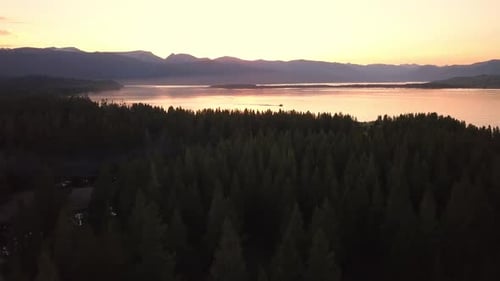 Flying over pine tree forest at sunset towards lake