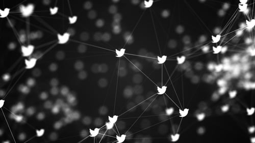 Fond Twitter Plexus Sombre