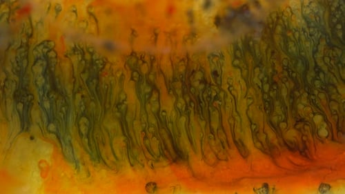 Die gelbe, rote und grüne Öltextur schwimmt wunderschön im Wasser