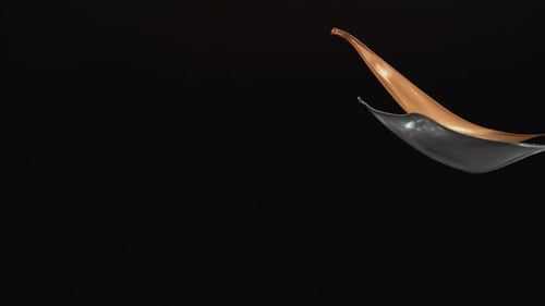 Éclaboussures de peinture dans les airs sur fond noir. Ralenti. Version non éditée incluse.