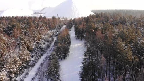 Winter Forest Nature Snow Covered Winter Trees Alpine Landscape Early Morning Sunrise Holiday Travel