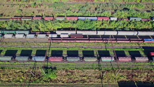 Colorful Freight Trains on the Railway Station