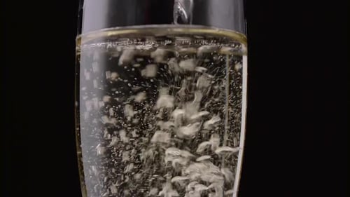 Champagne Poured Into Glass. Black Background. Close Up