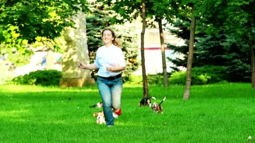 Woman Running with Adorable Beagle Puppies in Park