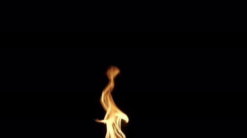 Close Up of Dynamic Fire Flames on Black Background