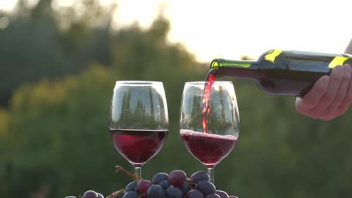 Rotwein einschenken