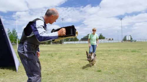 Trainer training a shepherd dog in the field