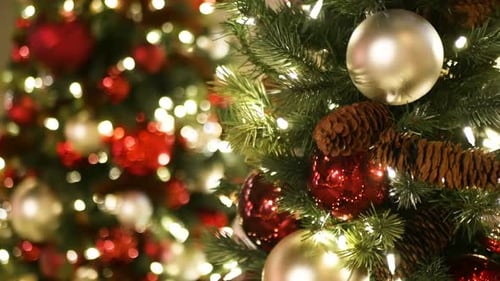 Ornaments and Lights Adorn Decorated Christmas Tree