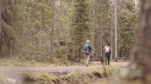 Senior Couple Pole Walking in Forest