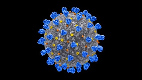 3D Animation of a Rotating Virus Cell