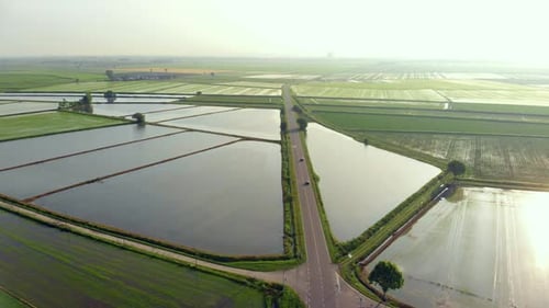 Luftaufnahme: Über Reisfelder fliegen, bewirtschaftetes Ackerland überschwemmtes Ackerland