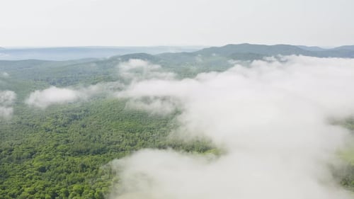 Drone View of a Landscape with Green Forests and Fields on a Beautiful Sunny Day