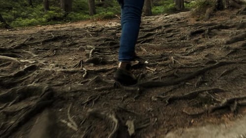 Closeup of Feet in Hiking Boots of Mountaineer Tourist Hiker Climbing Forest