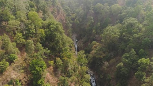 Tropische Landschaft Regenwald und Wasserfall
