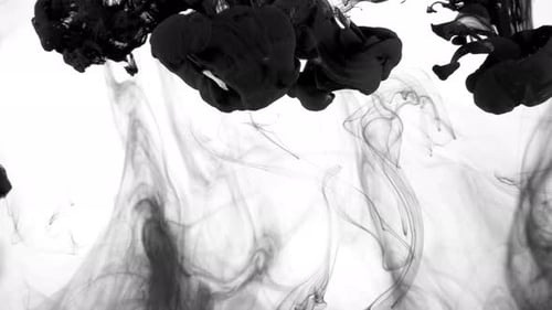 Black Ink Diffusing in Water Creates Abstract Plumes