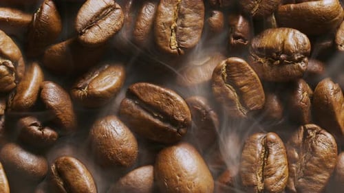 Fragrant coffee beans are roasted in a frying pan