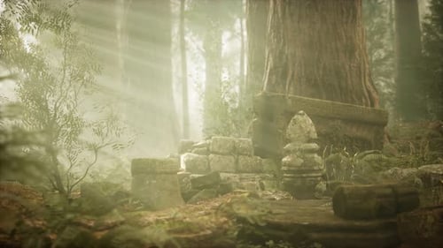 Hoary Ruins of Ancient City in Pine Forest