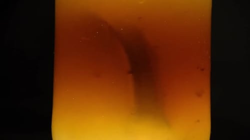 Kombucha scoby clair dans un bocal fond foncé