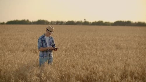Farmer Using Tablet in Golden Wheat Field